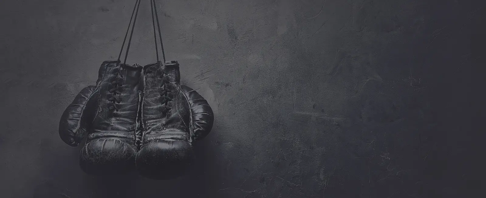 Inside the gym: matted floor, professional size cage and a row of heavy bags